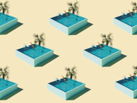 Illustration of several identical square above ground pools next to palm tree landscaping.