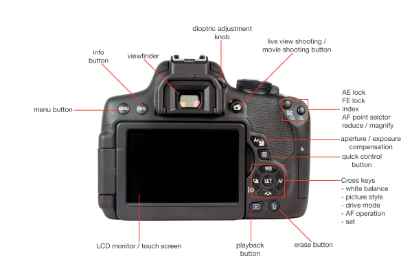 Rear view of the Canon T6i.
