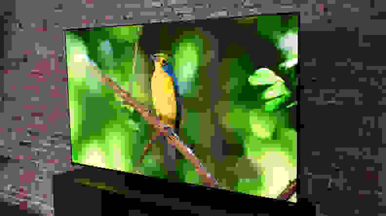 An image of a bird surrounded by greenery displayed on the Samsung S95C.