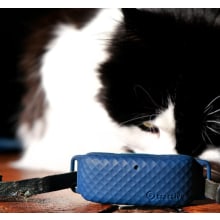 Product image of Tractive Cat GPS