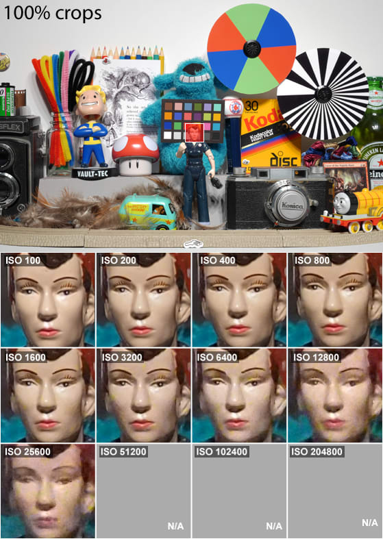 DCI-SCIENCE-PAGE-ROSIE.jpg