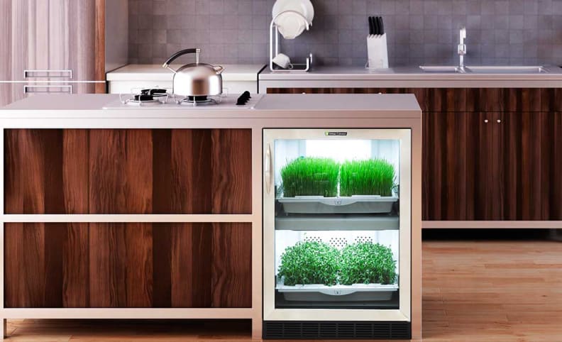 Urban cultivator