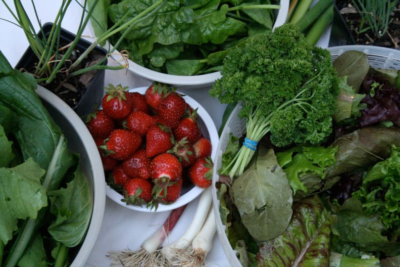 strawberries and greens