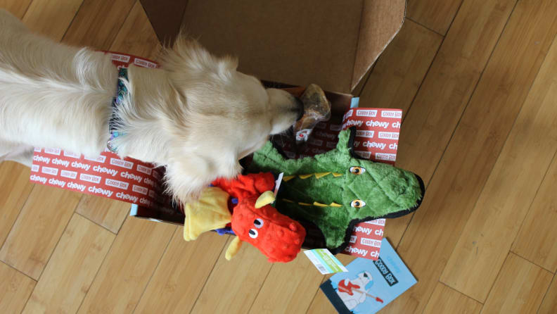 Goody Box: Dog & Cat Toys, Treats & Apparel