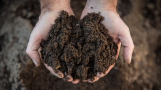 Two hands hold a handful of earthy brown compost