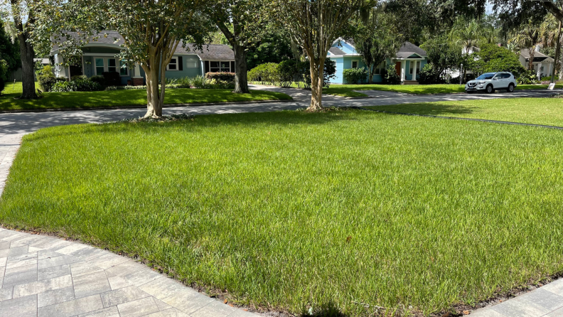 A front lawn appears greener after organic lawn care treatments.