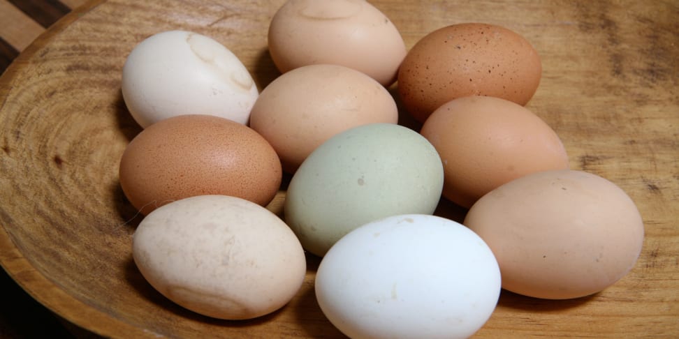 Some fine-looking cage-free eggs