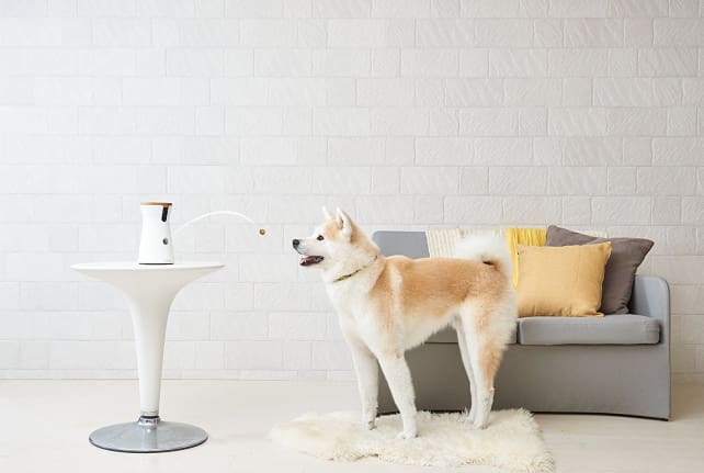 Furbo Dog Camera