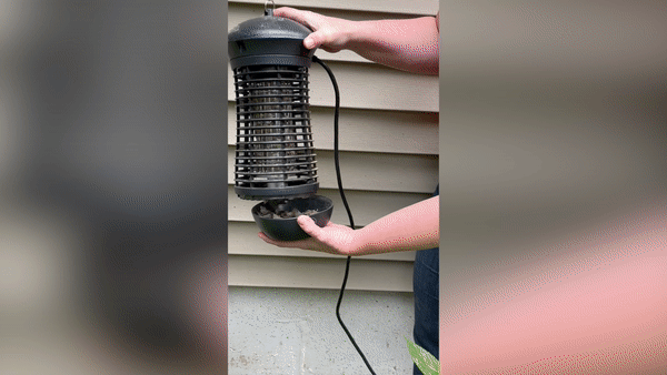 Person removing bottom of bug zapper to reveal dead bugs.