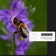 Product image of Generate Videos from Photos
