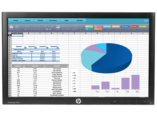 Product Image - HP ProDisplay P202