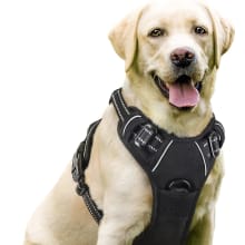 Product image of Rabbitgoo Dog Harness, No-Pull Pet Harness