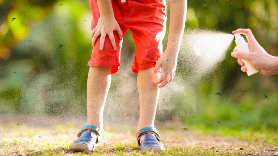 A person sprays the legs of another person with mosquito repellent