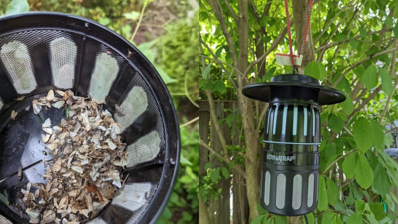 On left, dead insects inside of bug zapper. On right, bug zapper hanging on tree.