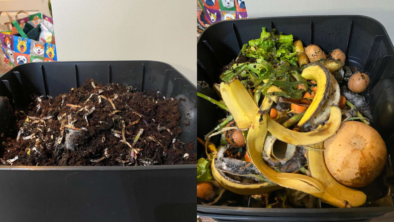 I tried worm composting—here's how it went - Reviewed
