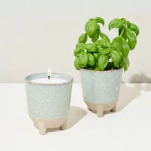 Product image of Glow & Grow Candle Grow Kit