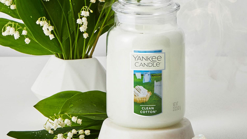 Product shot of clean cotton scented yankee candle next to plant on table.