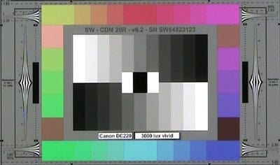 Canon_D220_3000lux_vivid_web.jpg