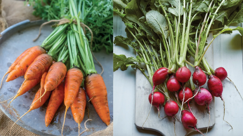 On left, bushel of orange carrots on countertop. On right, bushel of red radishes on cutting board.