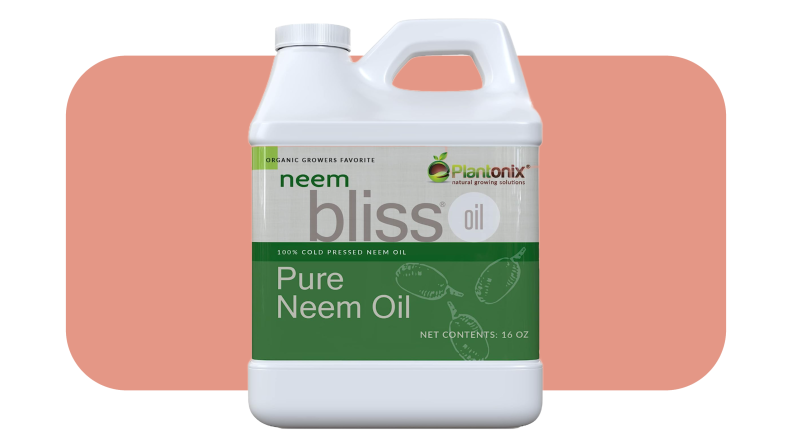 White bottle of Plantonix Neem Bliss neem oil solution with handle located at top in front of pink background.