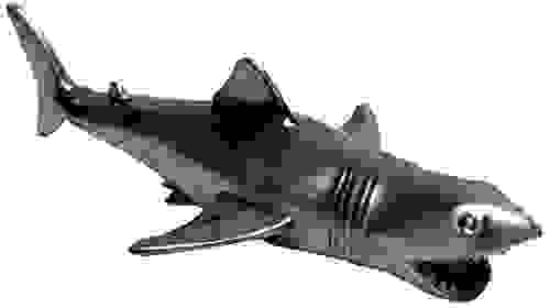 Shark