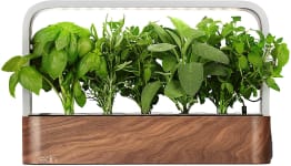 Product image of Edn SmallGarden