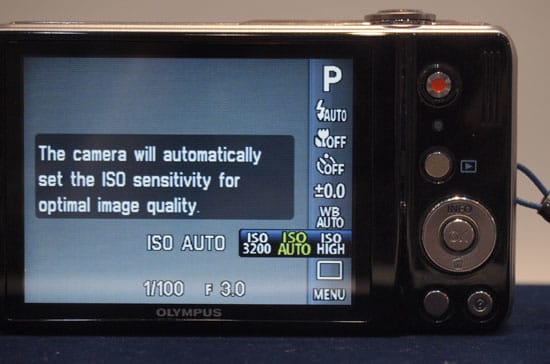 FI Manual Controls Photo