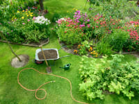 Organic garden