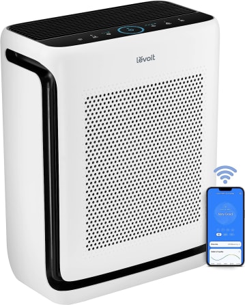 The Best Air Purifiers 2024 - Forbes Vetted
