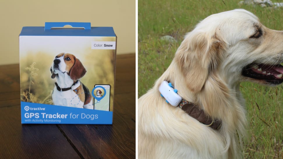 Tractive GPS Dog Tracker 3Gs - Dog Tracker - Pet Safety - Real-time GPS  tracking