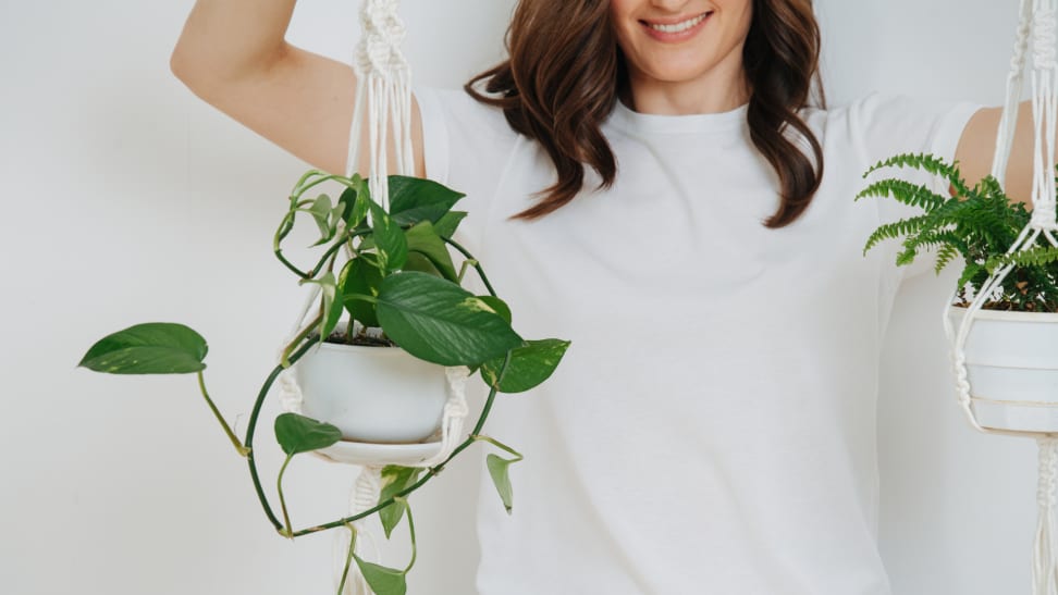 A person holds two house plants hanging from white macrame.