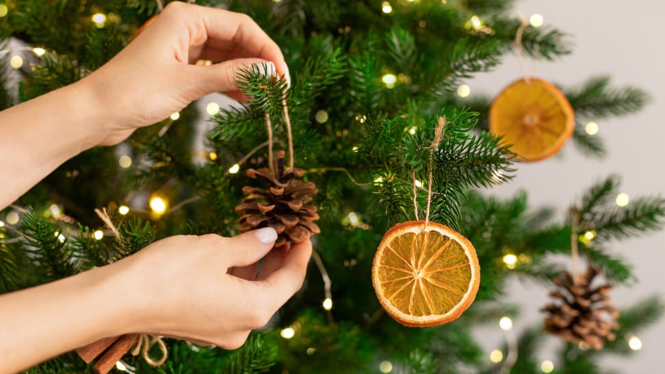 A person hanging a pinecone ornament on a Christmas tree that is decorated by dried orange slices.