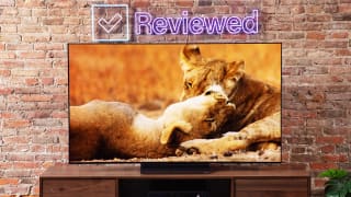 The LG C2 television with lions onscreen.