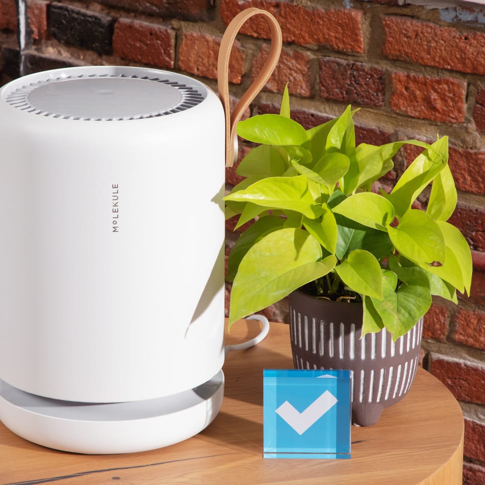 Molekule air top