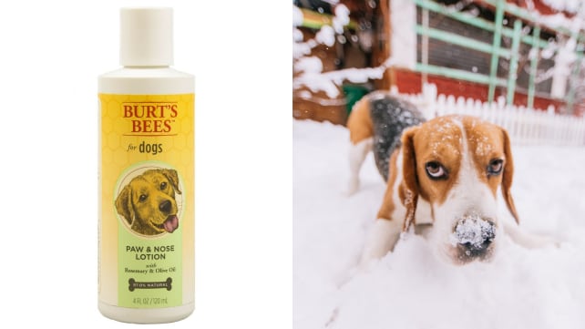 Burt's Bees Paws and Nose Lotion