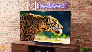 Angled shot of the LG C3 OLED TV with a wild cat onscreen.