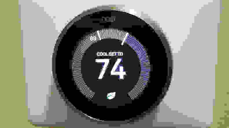 Nest displaying leaf mode