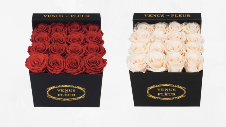 two boxes of venus et fleur roses