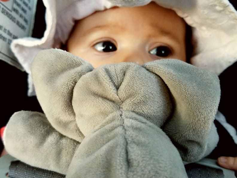 The speedy camera and autofocus means you can quickly snap off a candid shot and get exactly what you're looking for.