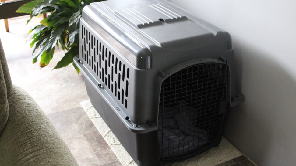 Aspen Pet Porter Crate