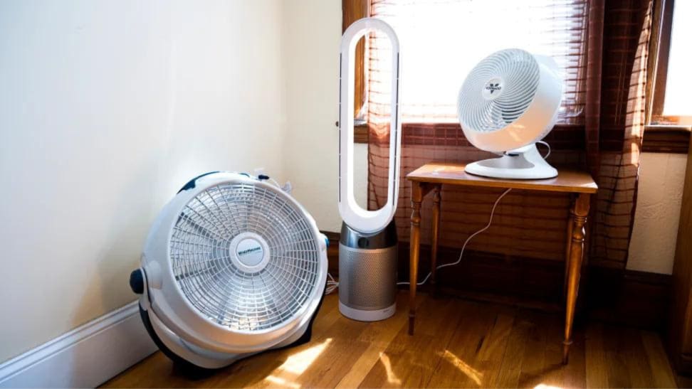 A series of three different fans posed against a window.