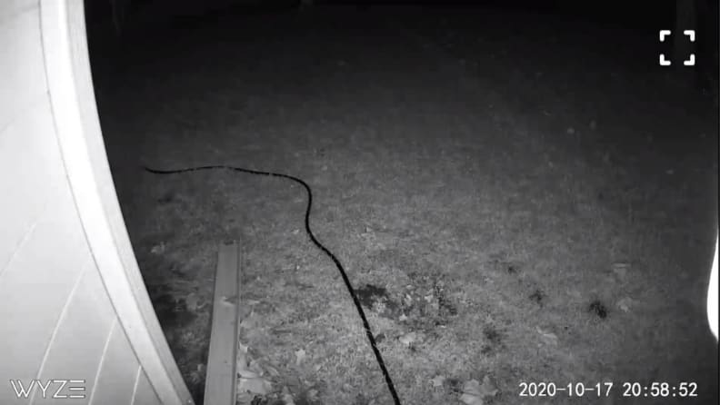 Wyze Outdoor Cam night view