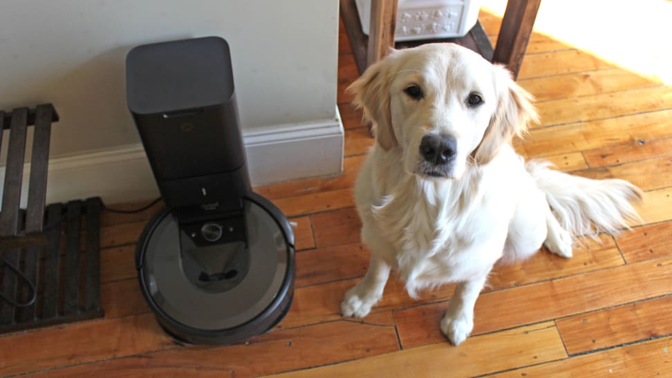 Irobot I7 Review The Best Money I Spent As A Pet Owner Reviewed