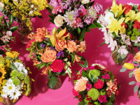 A variety of flowers against a pink background.