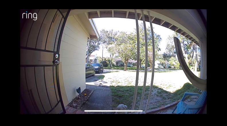 Ring Video Doorbell 3 Plus