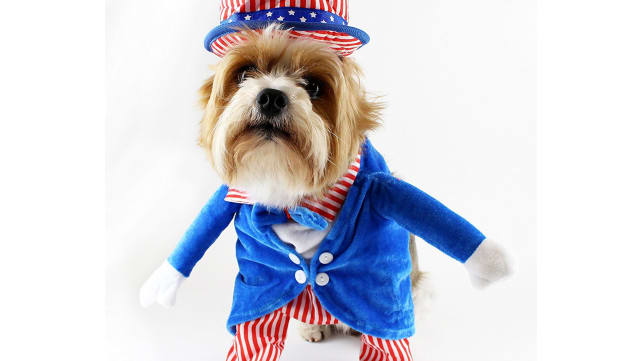 Uncle Sam