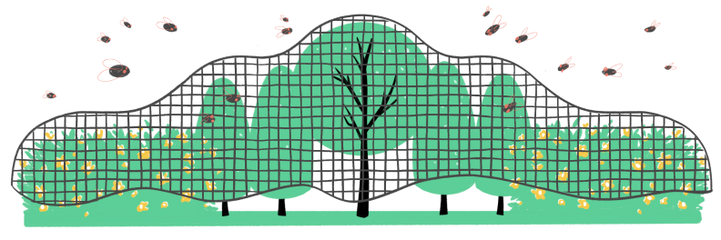 An illustration of netting over trees and bushes to keep cicadas out.