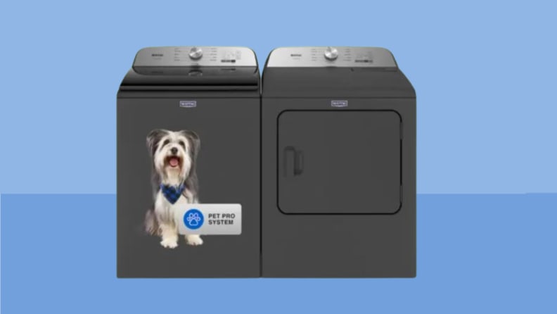 What is the Best Washer and Dryer for Pet Hair?