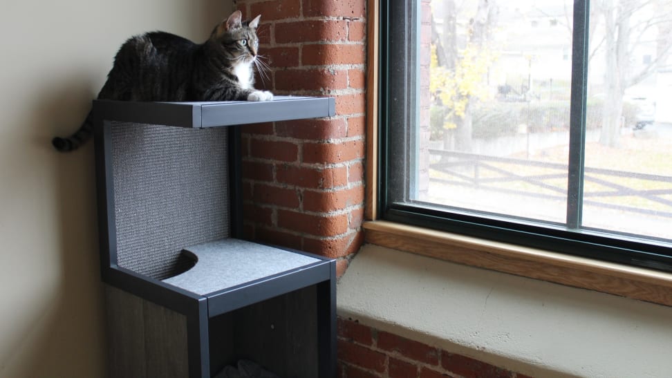 Tired of looking at an ugly cat tree? This new line of cat furniture will be a dream come true.