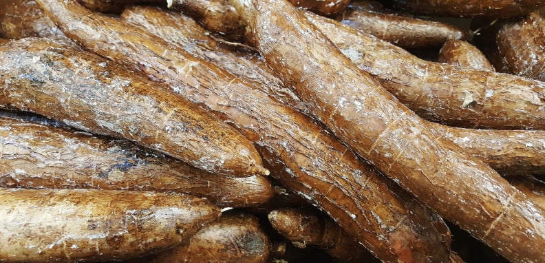 Cassava